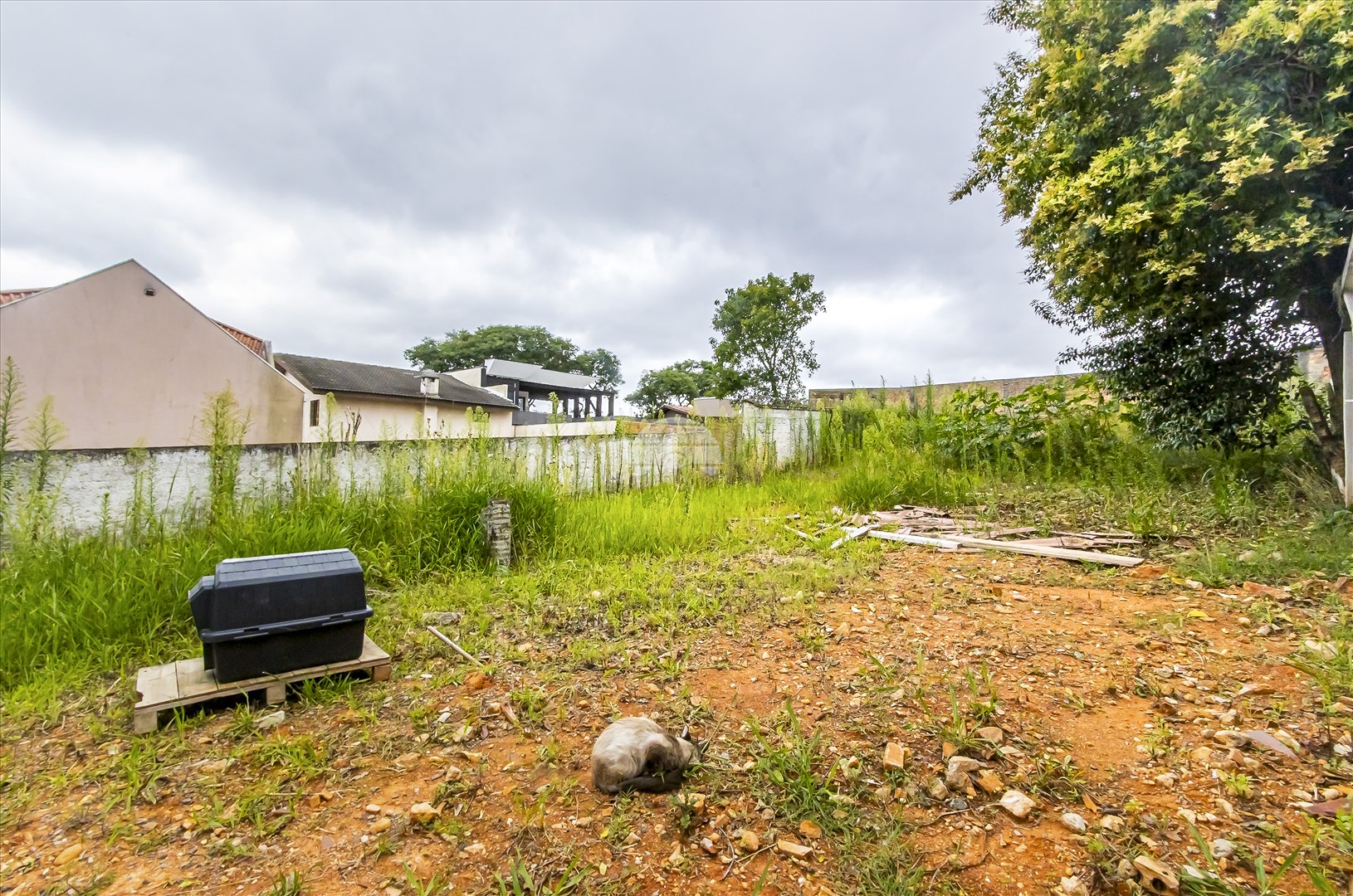Terreno/Área à venda em Santa Quitéria, Curitiba — Toyo Imóveis - Curitiba/PR