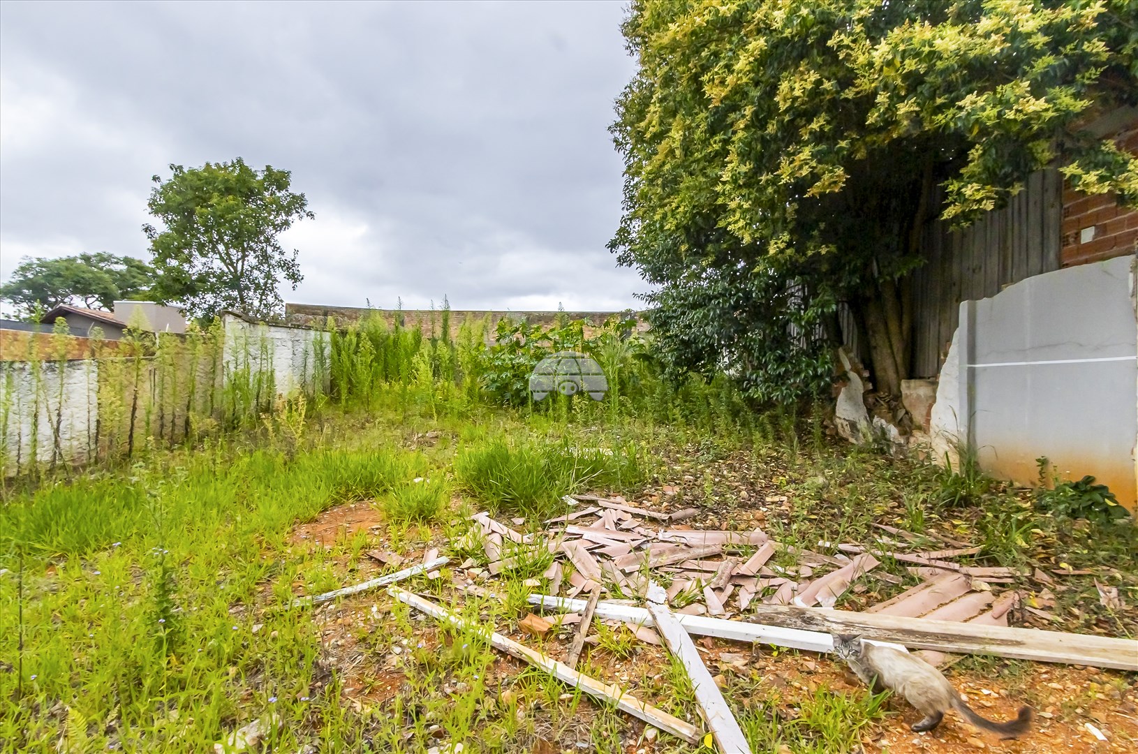 Terreno/Área à venda em Santa Quitéria, Curitiba — Toyo Imóveis - Curitiba/PR