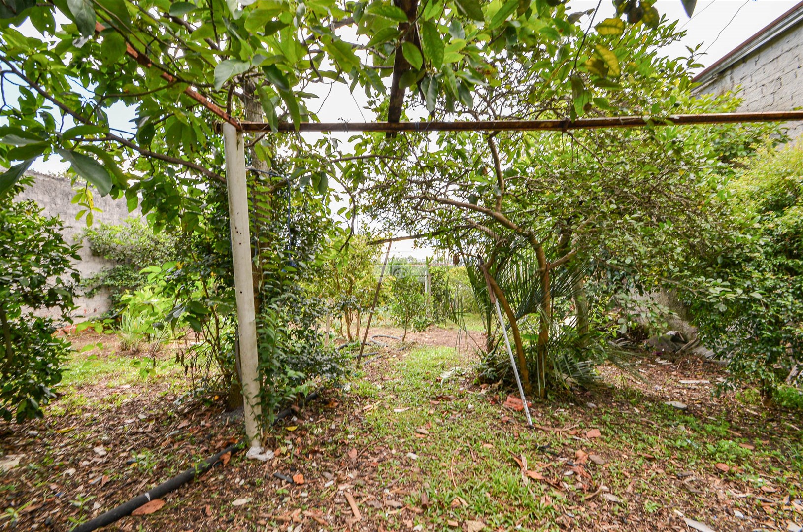 Terreno/Área à venda em Tingui, Curitiba — Portal Chave Fácil