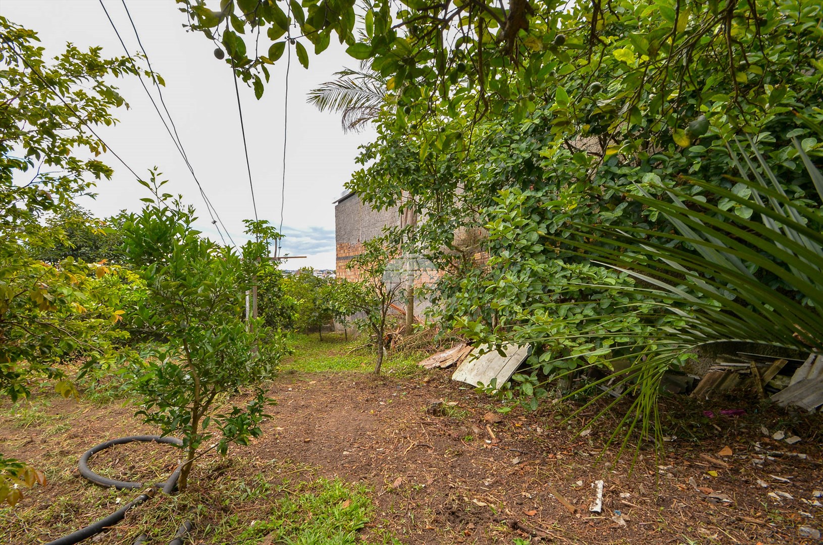 Terreno/Área à venda em Tingui, Curitiba — Portal Chave Fácil