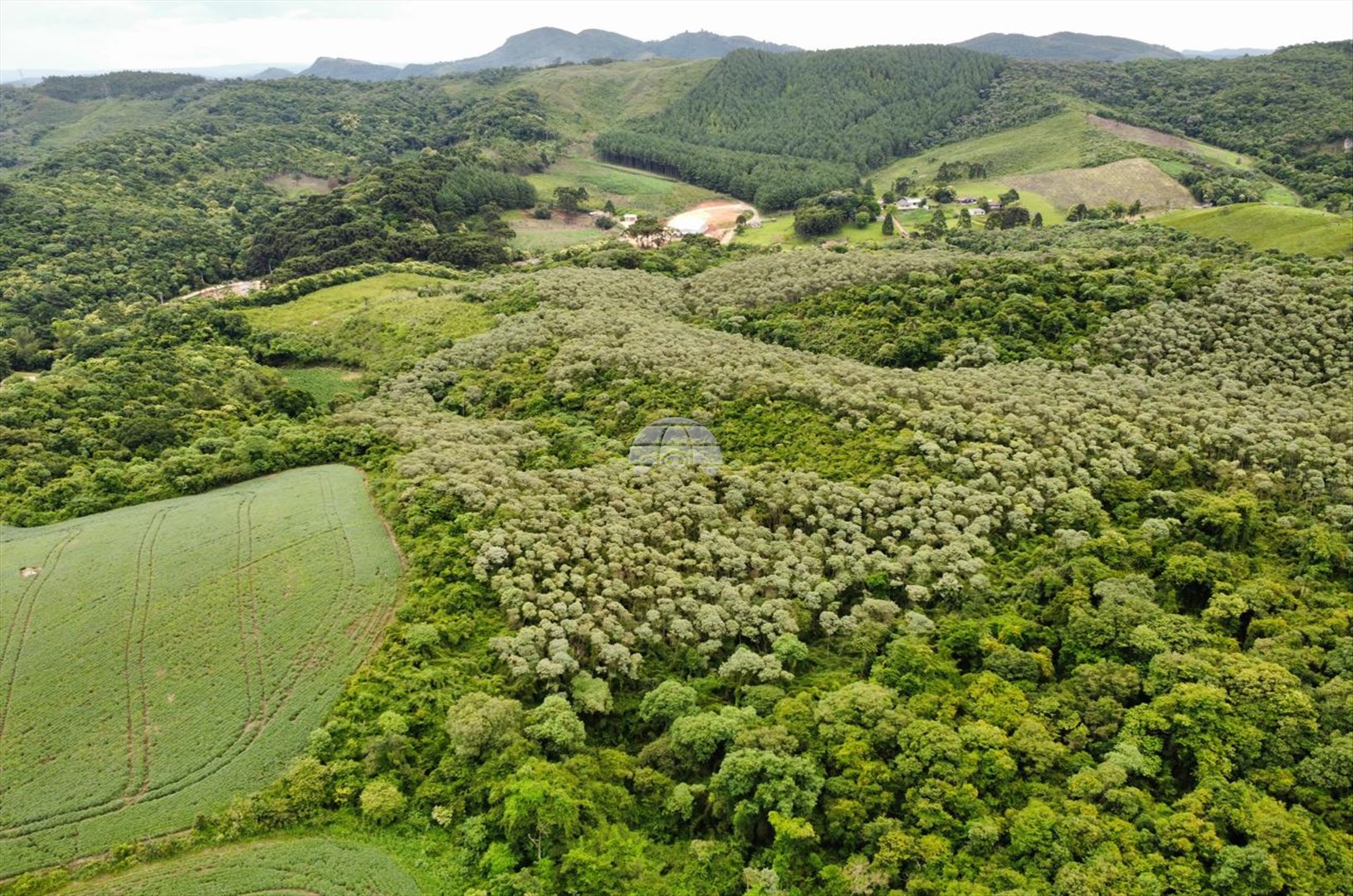 Chácara à venda em Jardim Planalto, Almirante Tamandaré — Portal Chave Fácil