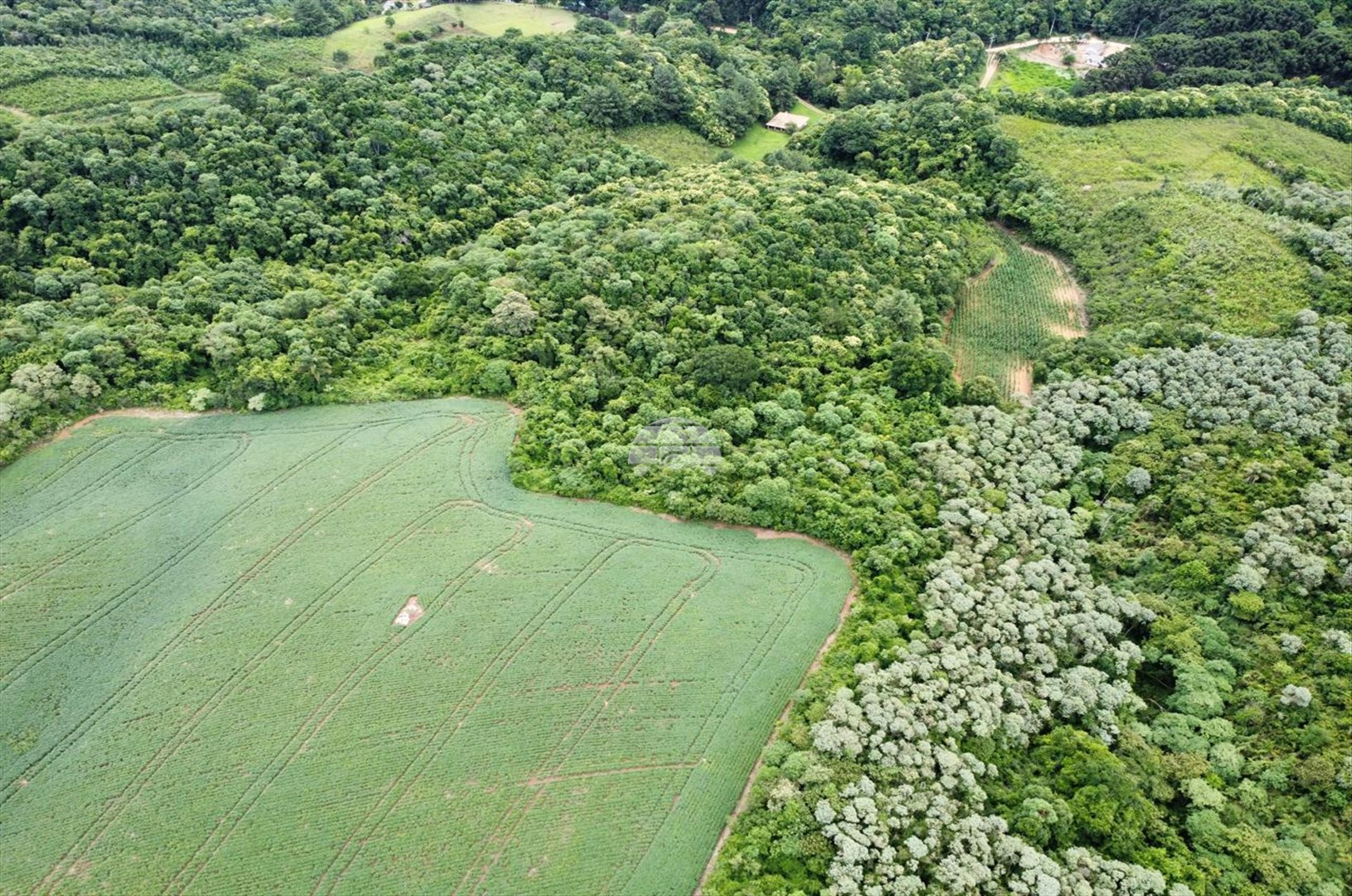 Chácara à venda em Jardim Planalto, Almirante Tamandaré — Portal Chave Fácil