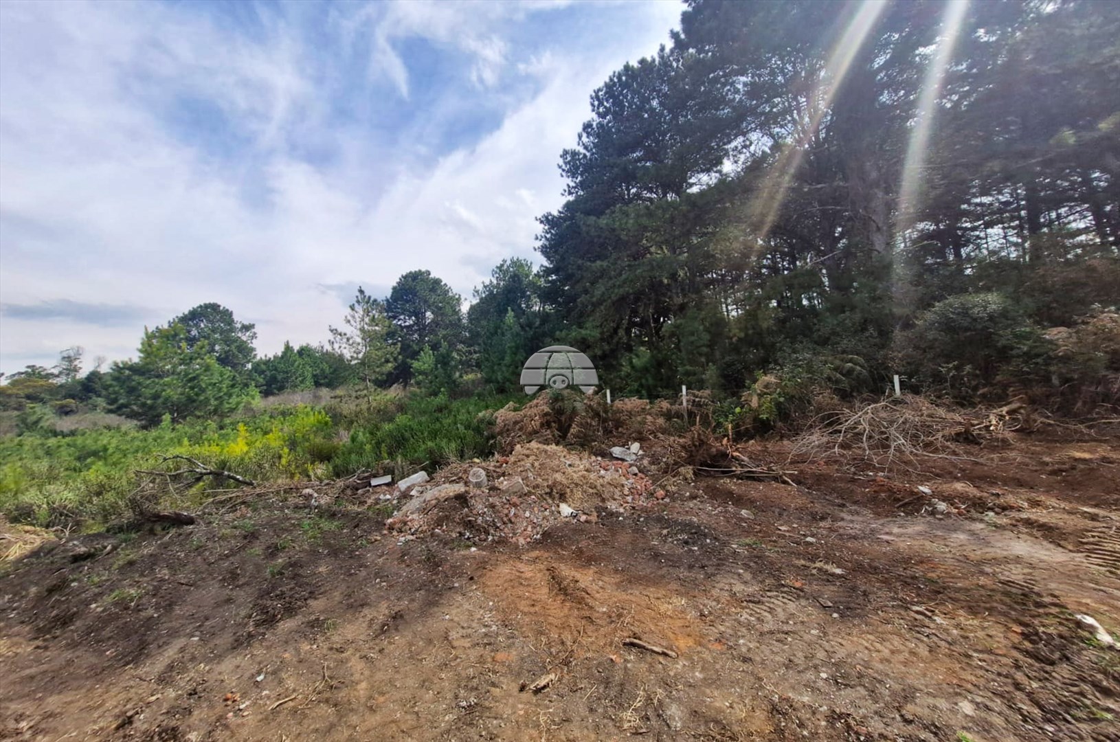 Terreno/Área à venda em Jardim Das Acácias, Quatro Barras — Portal Chave Fácil