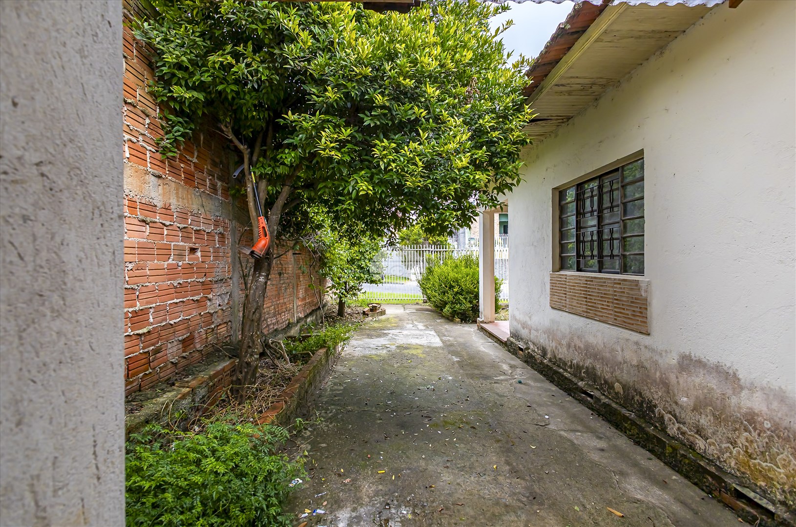 Terreno/Área à venda em Vista Alegre, Curitiba — Galvão Vendas - Imóveis a venda em Curitiba