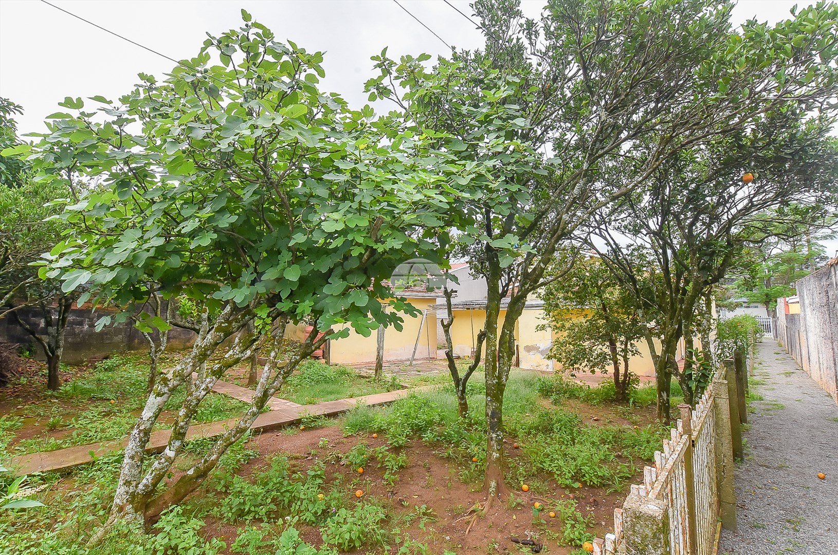 Terreno Comercial/Residencial para Venda no Bairro Hauer ref. 224985 (8 / 10)