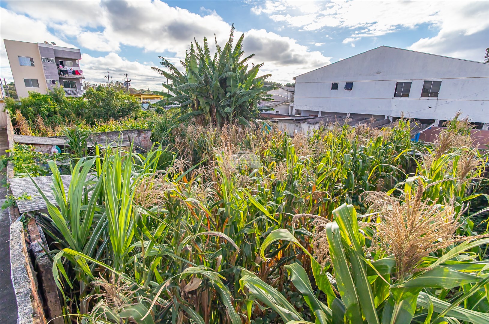 Terreno/Área à venda em Ipê, São José dos Pinhais — Portal Chave Fácil