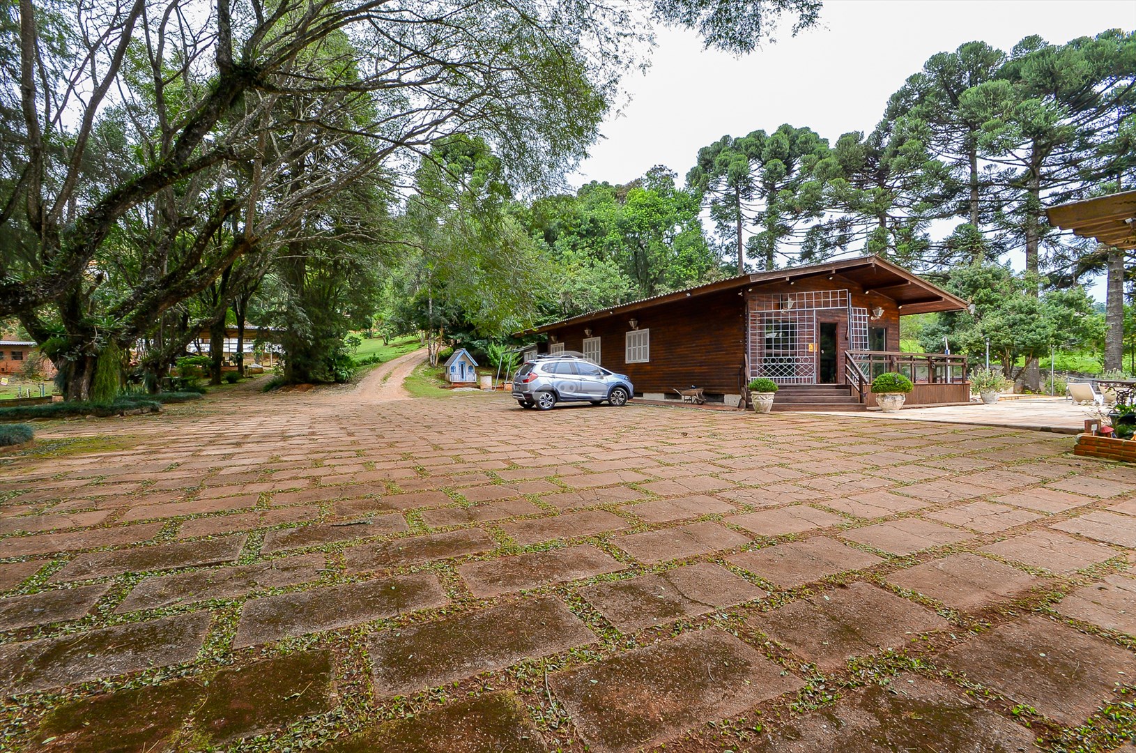 Terreno/Área à venda em Pacotuba, Almirante Tamandaré — GOMES CONSULTOR IMOBILIARIO LTDA.