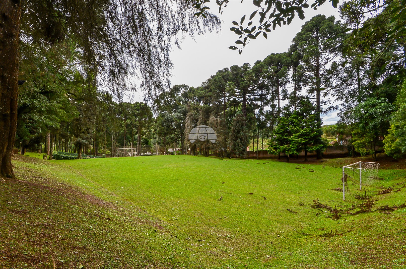 Terreno/Área à venda em Pacotuba, Almirante Tamandaré — GOMES CONSULTOR IMOBILIARIO LTDA.
