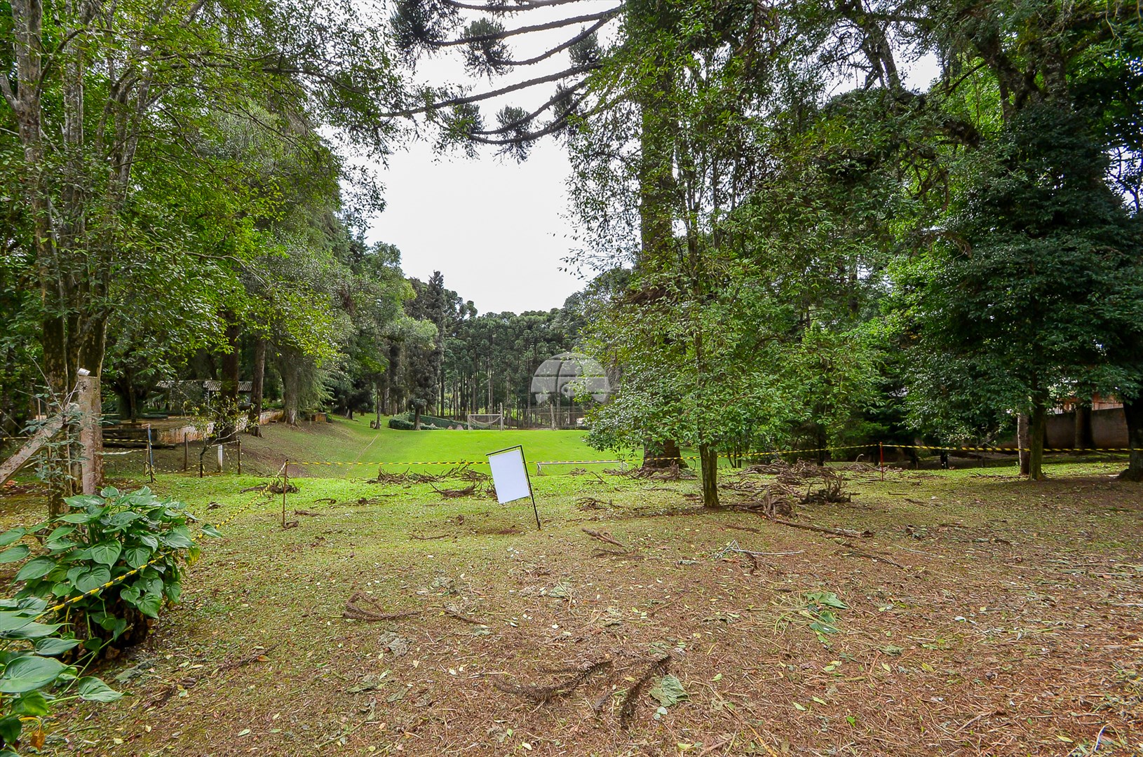 Terreno/Área à venda em Pacotuba, Almirante Tamandaré — GOMES CONSULTOR IMOBILIARIO LTDA.