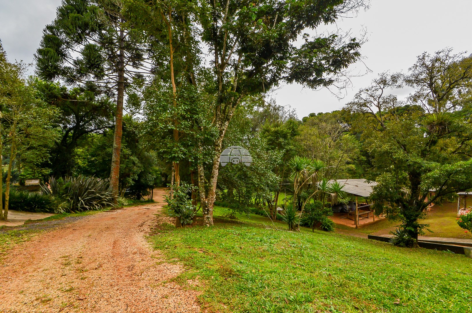 Terreno/Área à venda em Pacotuba, Almirante Tamandaré — GOMES CONSULTOR IMOBILIARIO LTDA.
