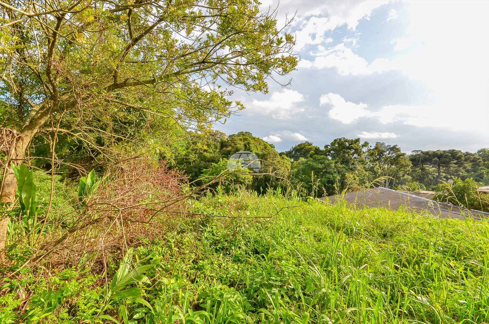 Terreno à venda em Barreirinha, Curitiba — GOMES CONSULTOR IMOBILIARIO LTDA.