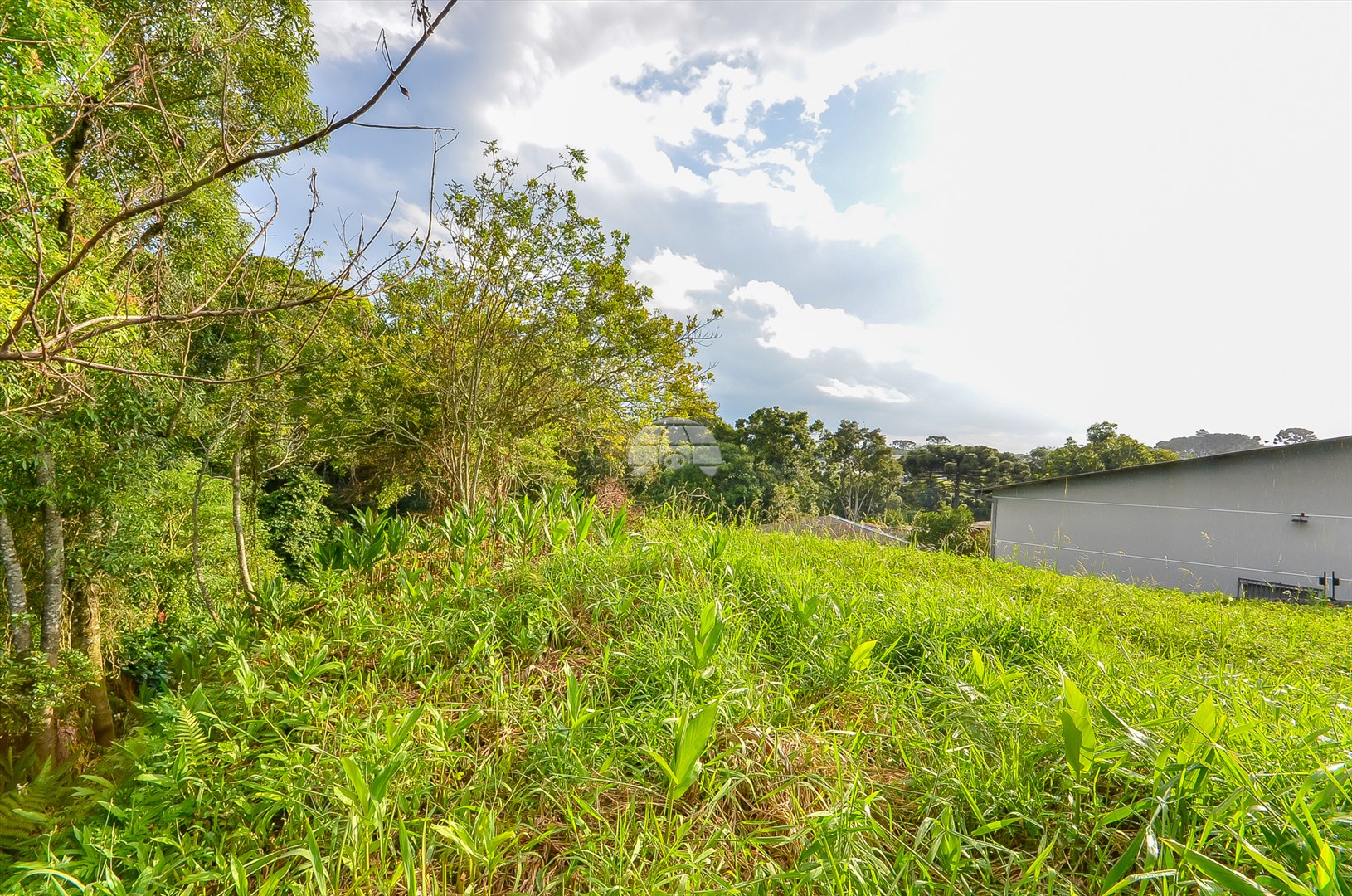 Terreno à venda em Barreirinha, Curitiba — GOMES CONSULTOR IMOBILIARIO LTDA.