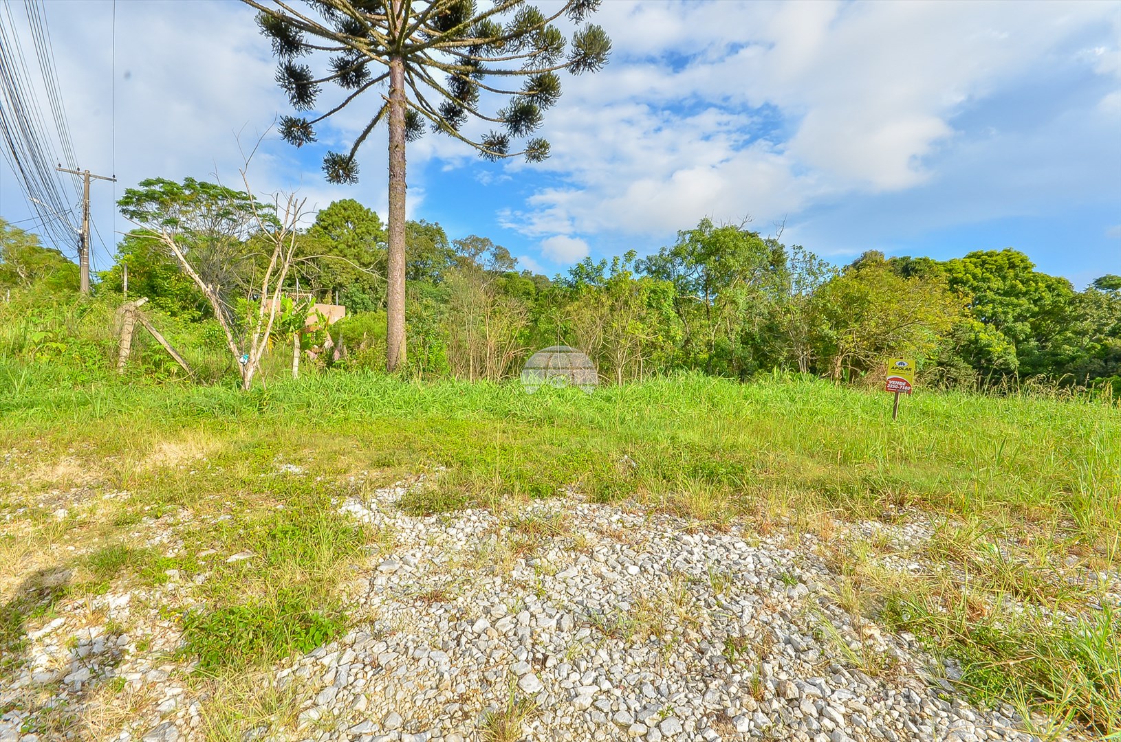 Terreno à venda em Barreirinha, Curitiba — GOMES CONSULTOR IMOBILIARIO LTDA.