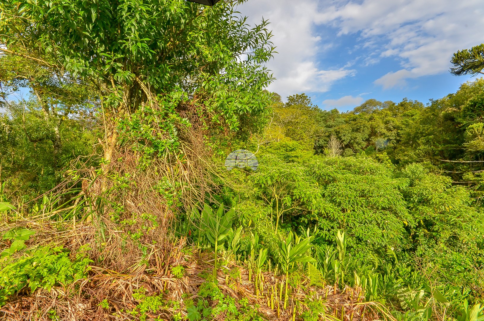 Terreno à venda em Barreirinha, Curitiba — GOMES CONSULTOR IMOBILIARIO LTDA.