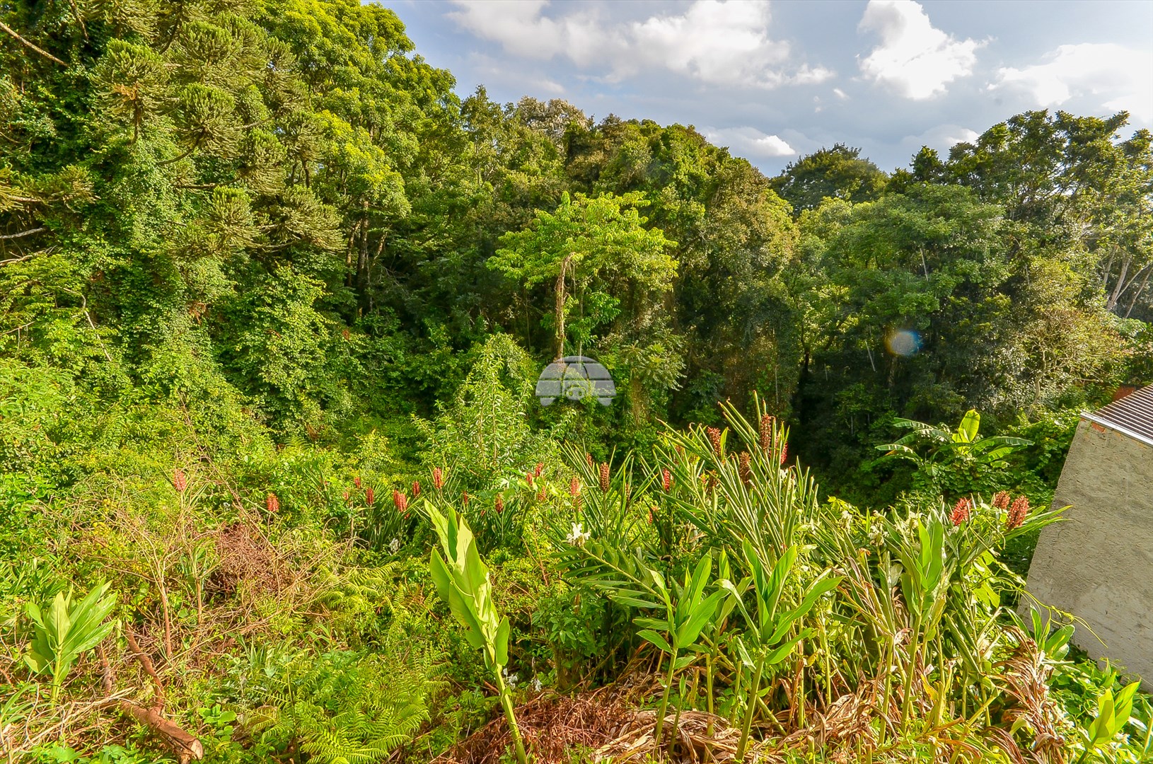 Terreno à venda em Barreirinha, Curitiba — GOMES CONSULTOR IMOBILIARIO LTDA.