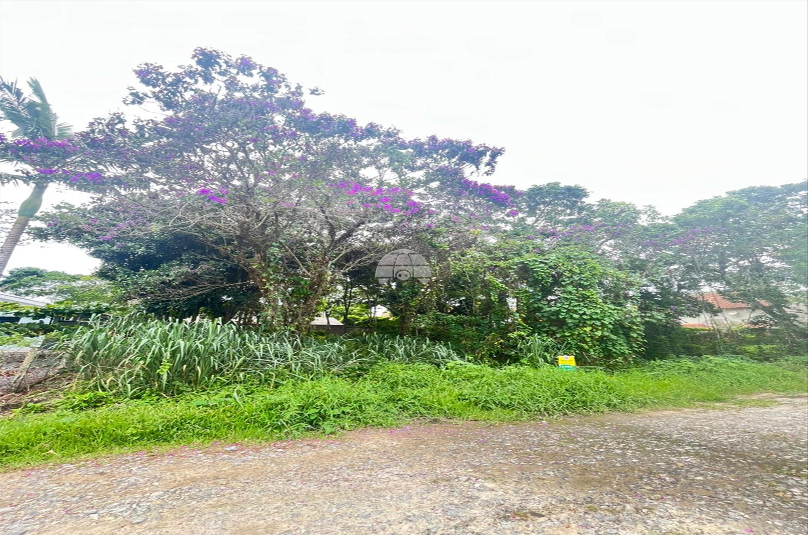 Terreno/Área para alugar em Cambiju, Itapoá — Portal Chave Fácil