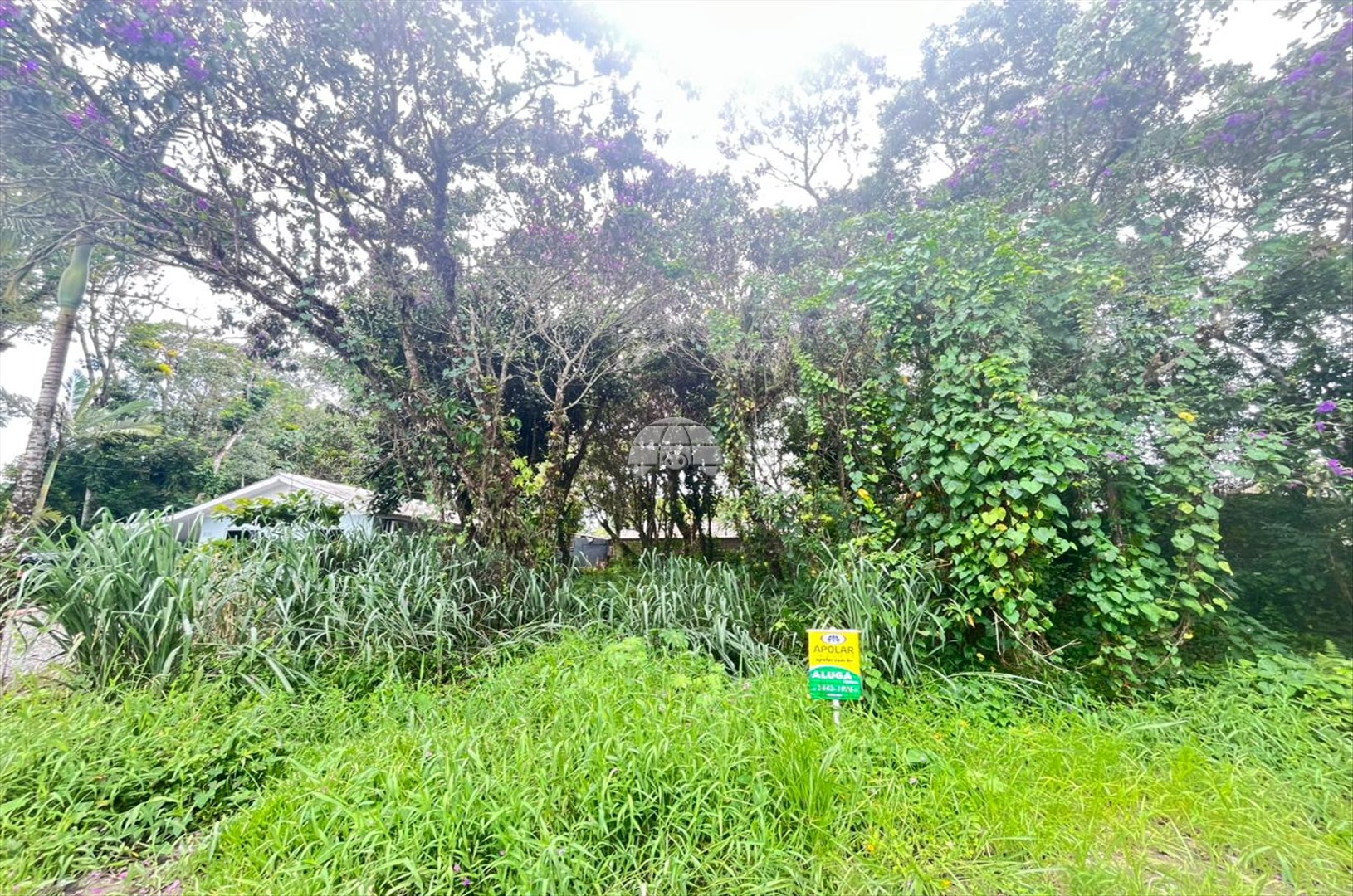 Terreno/Área para alugar em Cambiju, Itapoá — Portal Chave Fácil
