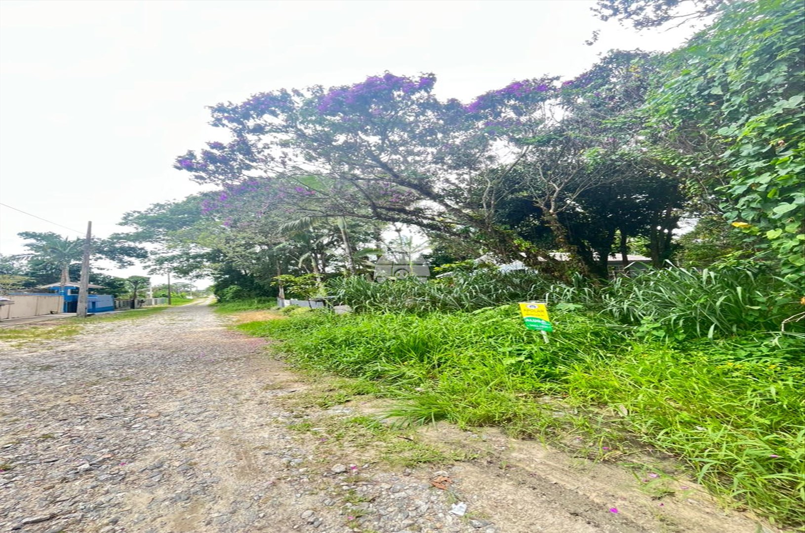 Terreno/Área para alugar em Cambiju, Itapoá — Portal Chave Fácil