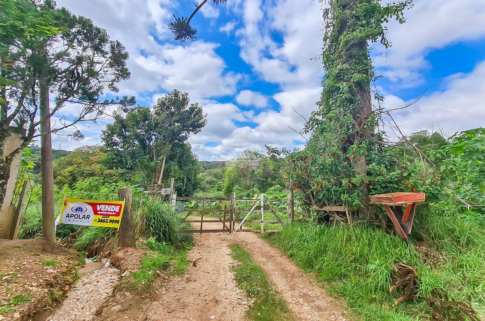 Terreno/Área à venda em Vila São Paulo, Colombo — Portal Chave Fácil
