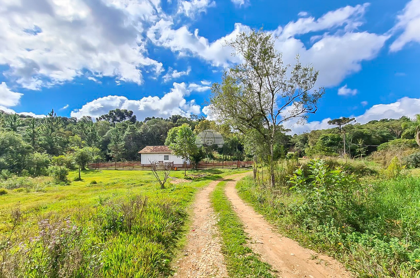 Terreno/Área à venda em Vila São Paulo, Colombo — Portal Chave Fácil