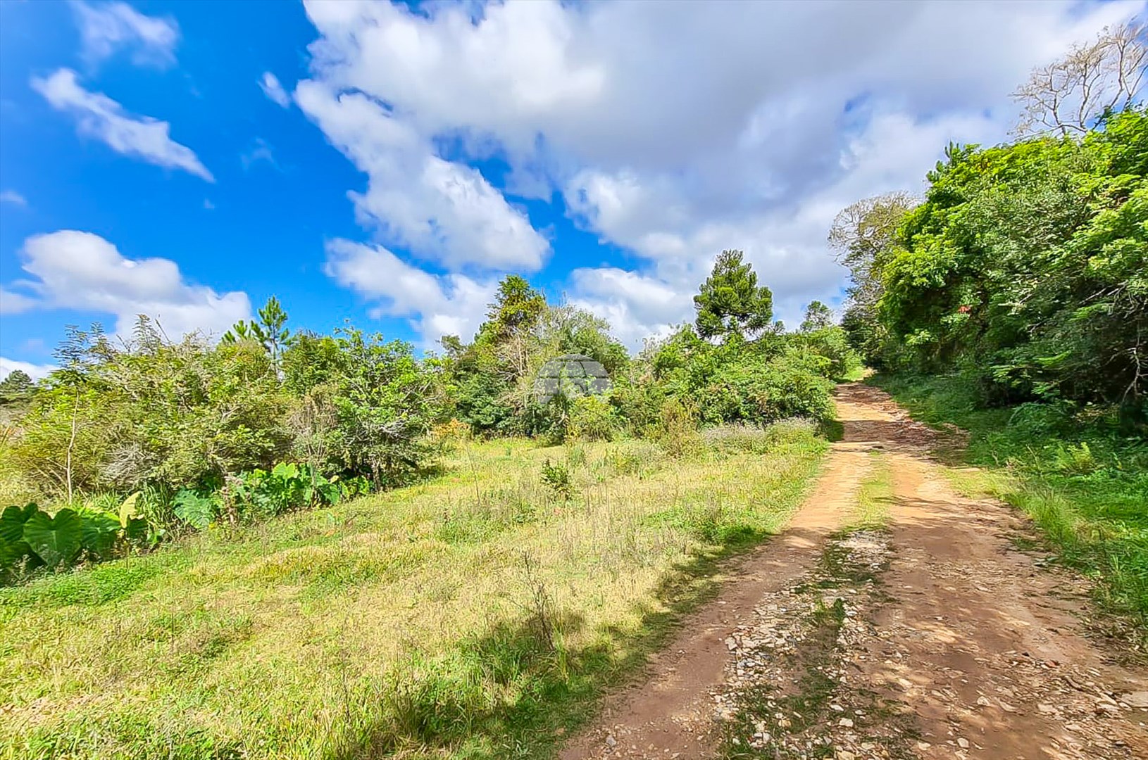 Terreno/Área à venda em Vila São Paulo, Colombo — Portal Chave Fácil