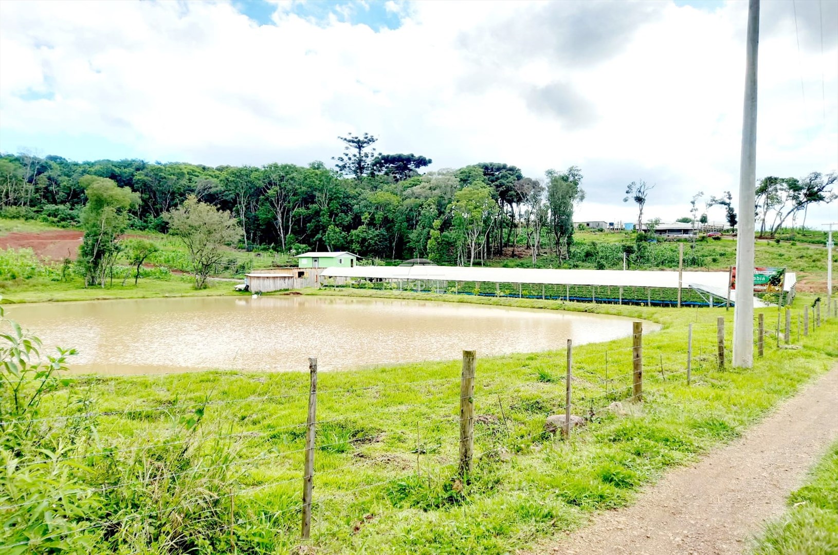 Terreno/Área à venda em Centro, Ipê — Portal Chave Fácil