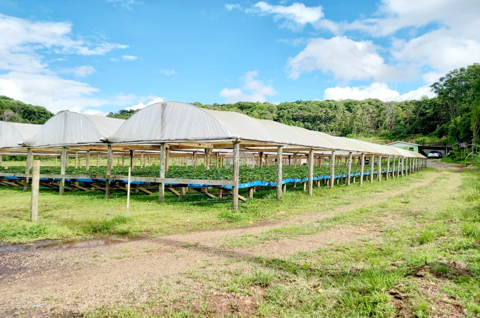 Terreno/Área à venda em Centro, Ipê — Portal Chave Fácil
