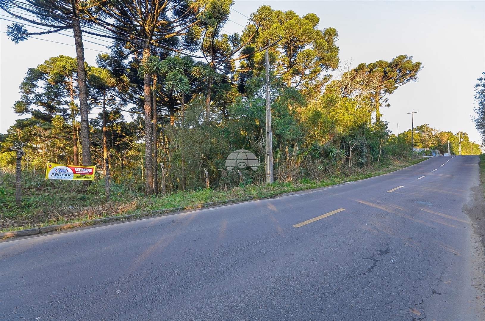 Terreno/Área à venda em Jardim Marize, Almirante Tamandaré — Portal Chave Fácil