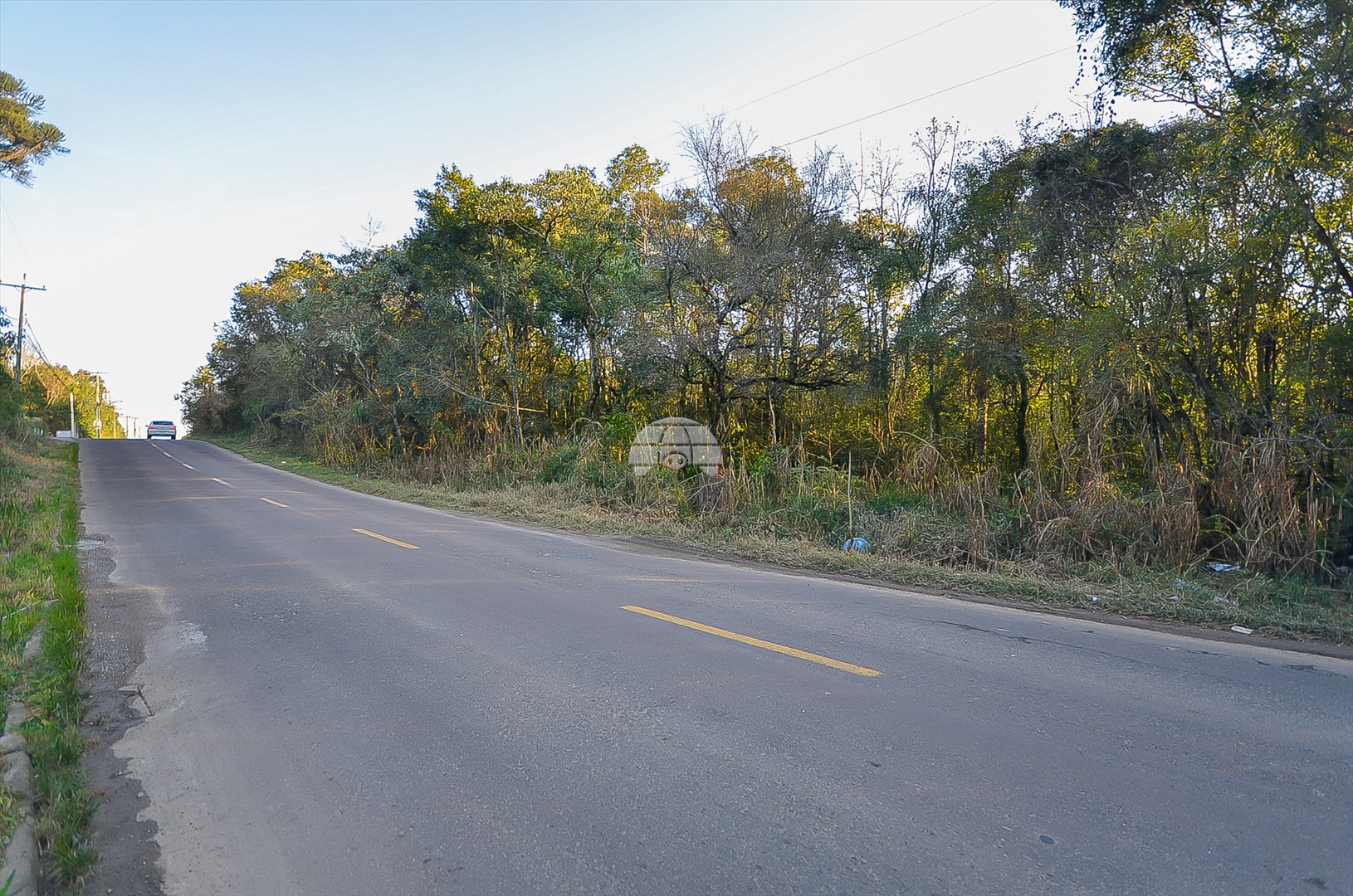 Terreno/Área à venda em Jardim Marize, Almirante Tamandaré — GOMES CONSULTOR IMOBILIARIO LTDA.