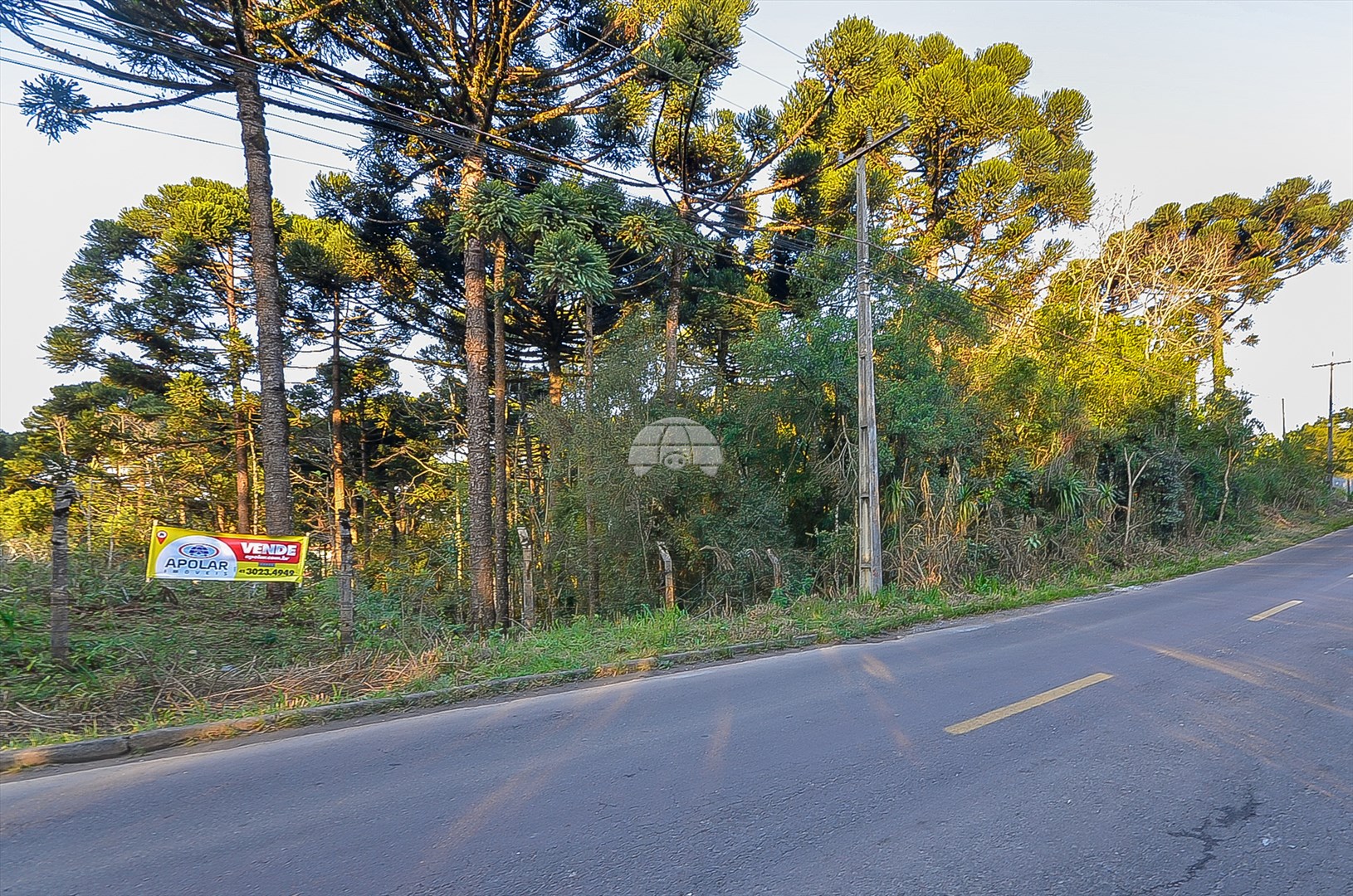 Terreno/Área à venda em Jardim Marize, Almirante Tamandaré — Portal Chave Fácil