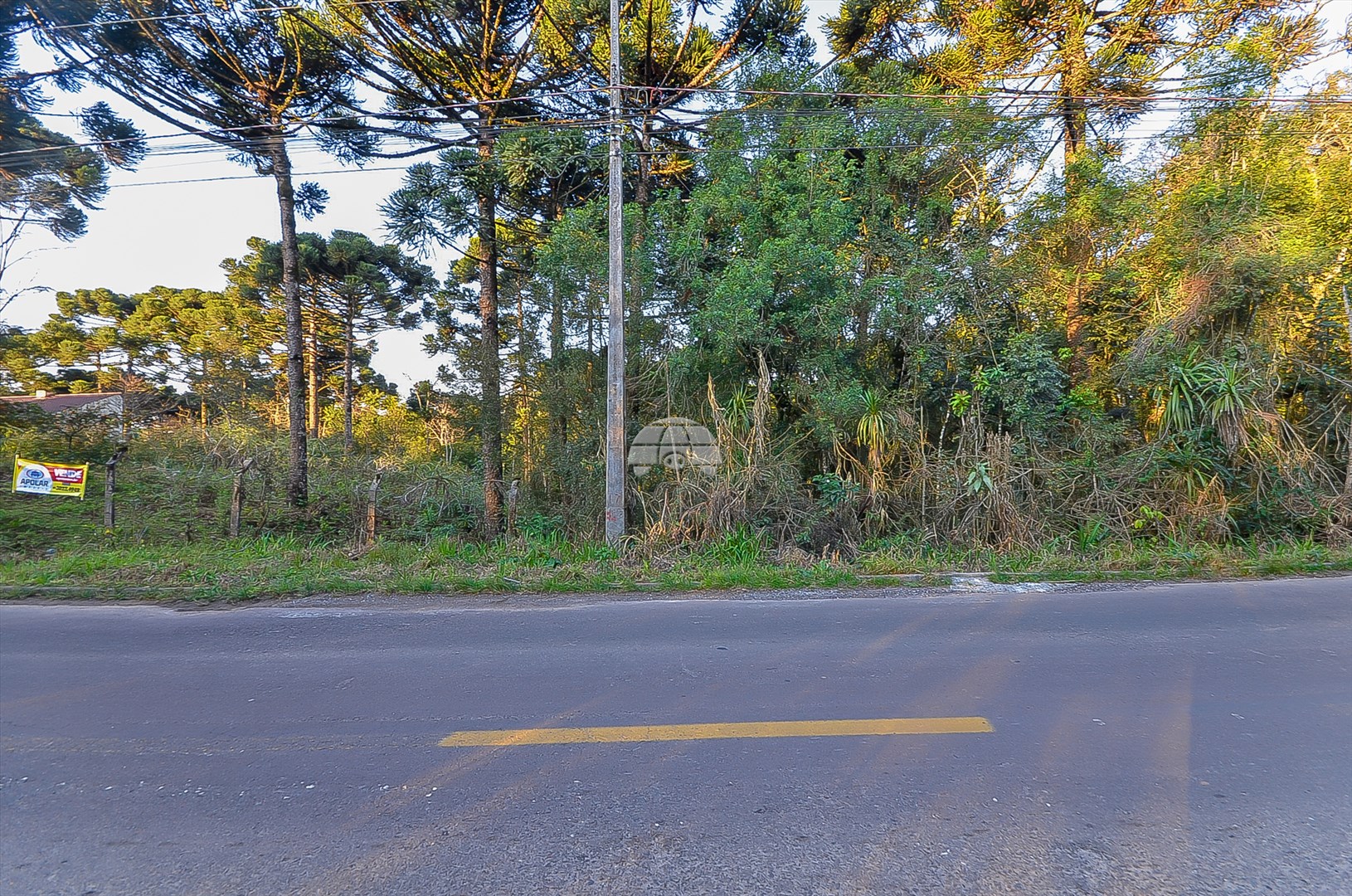 Terreno/Área à venda em Jardim Marize, Almirante Tamandaré — Portal Chave Fácil