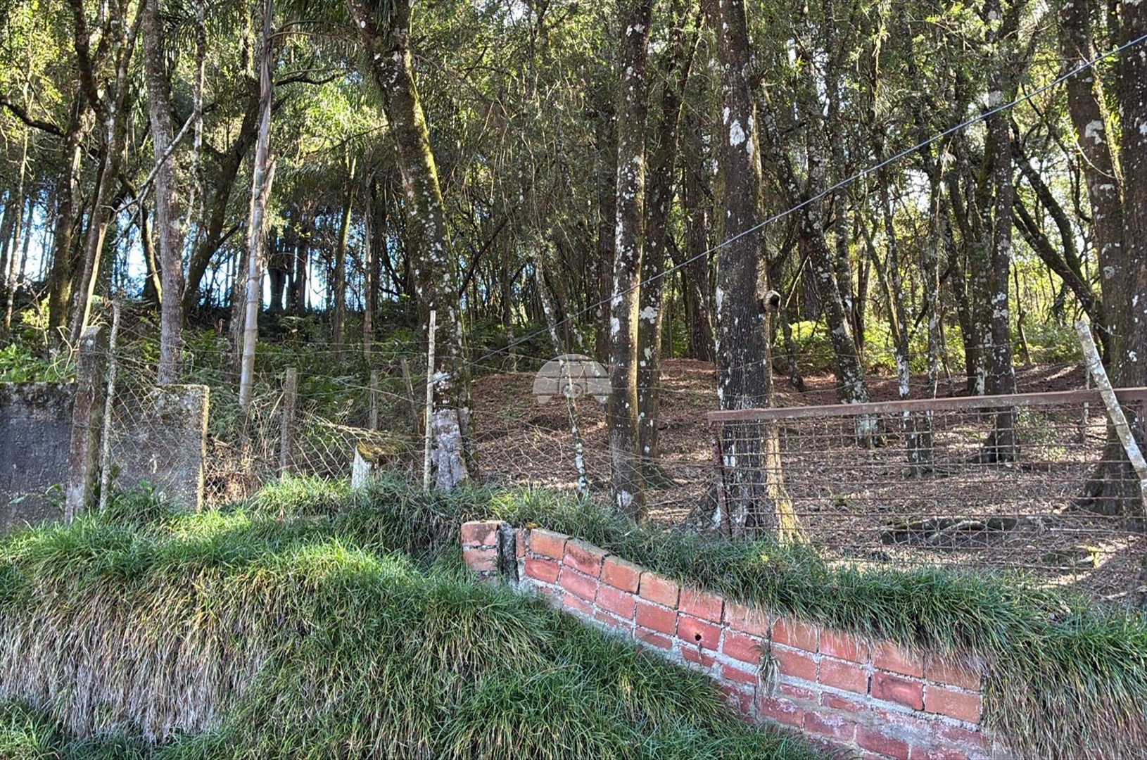 Terreno/Área à venda em Cercadinho, Colombo — Portal Chave Fácil