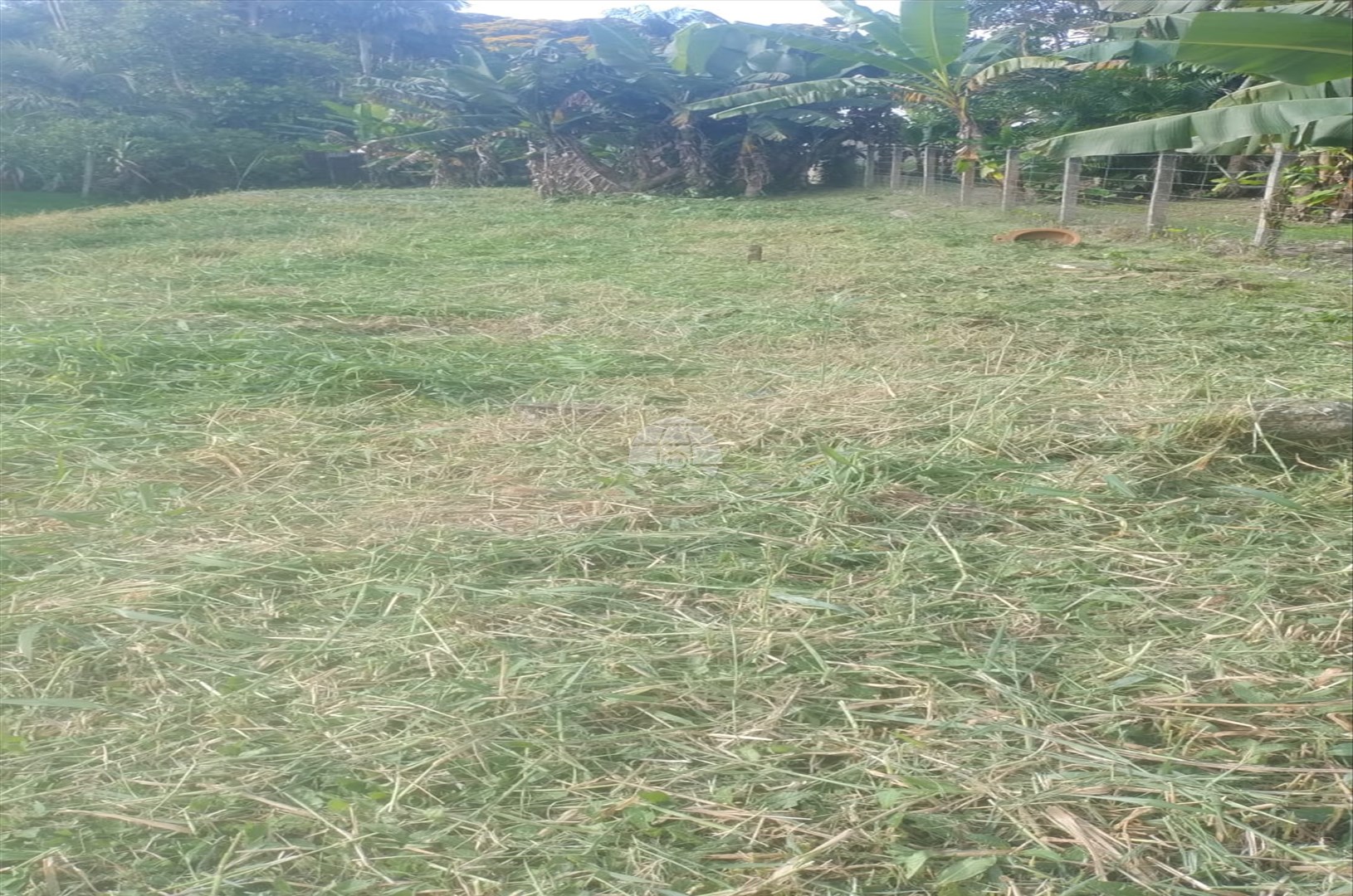 Terreno/Área à venda em Saiva, Antonina — Portal Chave Fácil