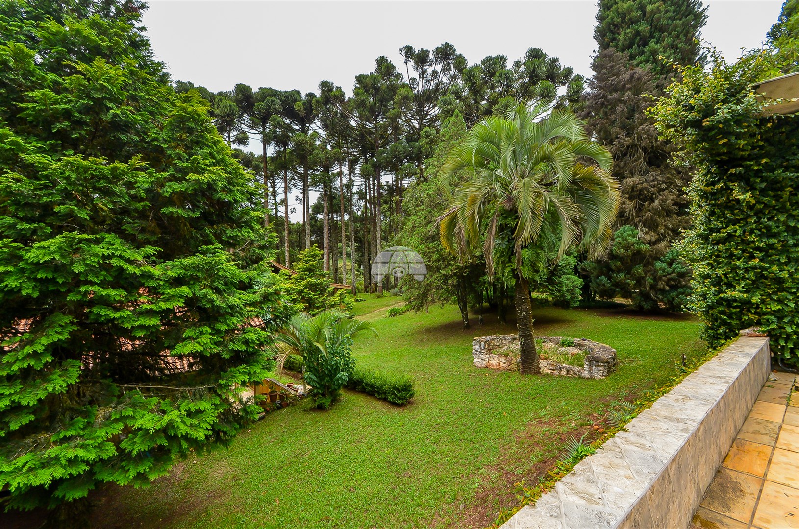 Casa à venda em Pacotuba, Almirante Tamandaré — GOMES CONSULTOR IMOBILIARIO LTDA.