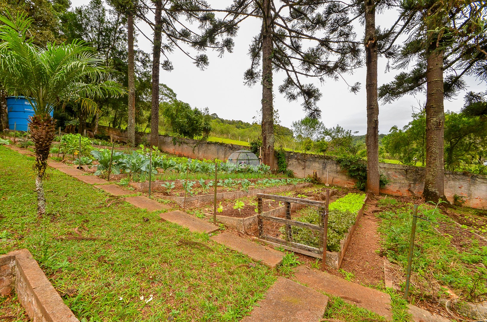 Casa à venda em Pacotuba, Almirante Tamandaré — GOMES CONSULTOR IMOBILIARIO LTDA.