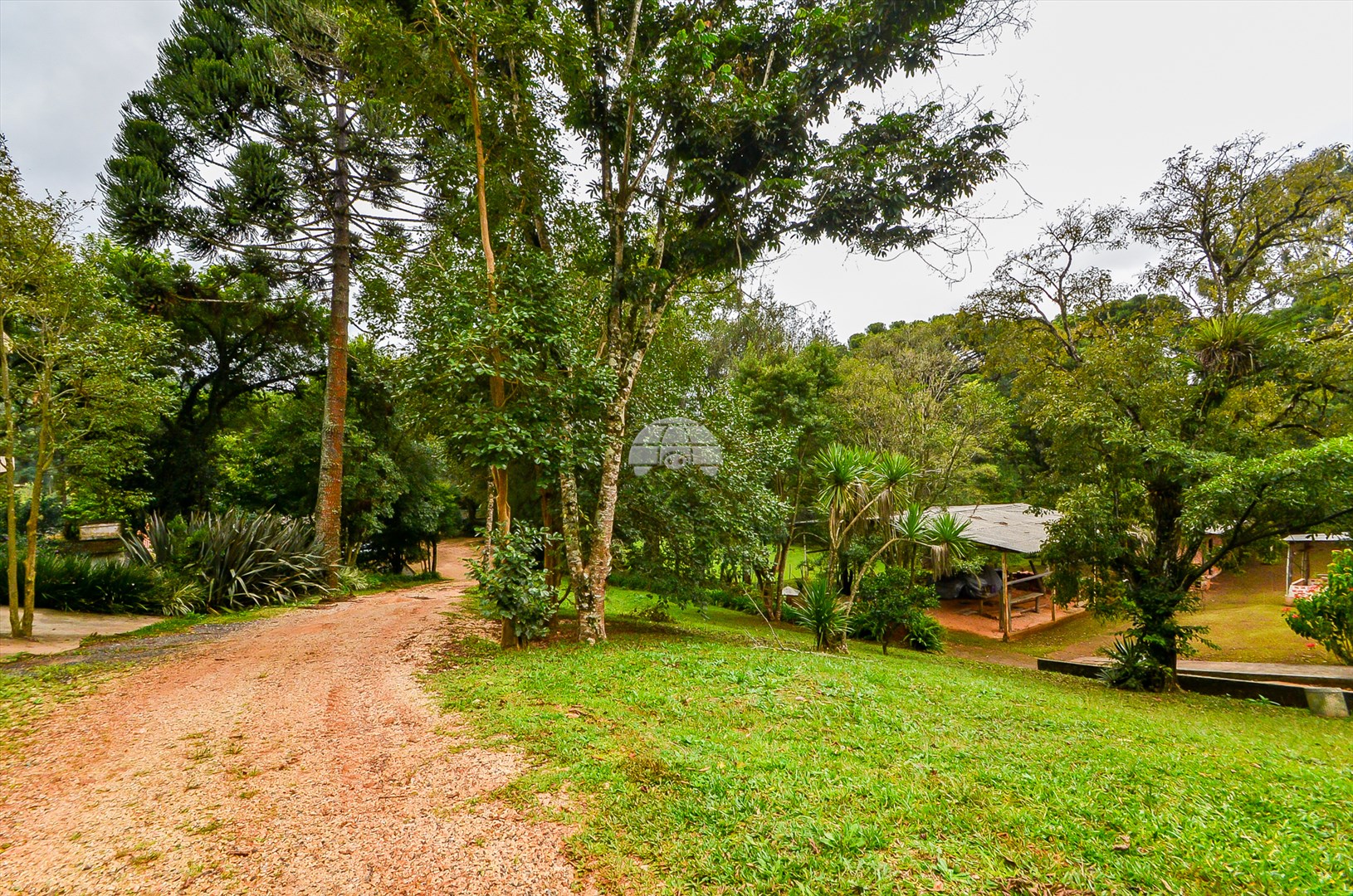 Casa à venda em Pacotuba, Almirante Tamandaré — GOMES CONSULTOR IMOBILIARIO LTDA.