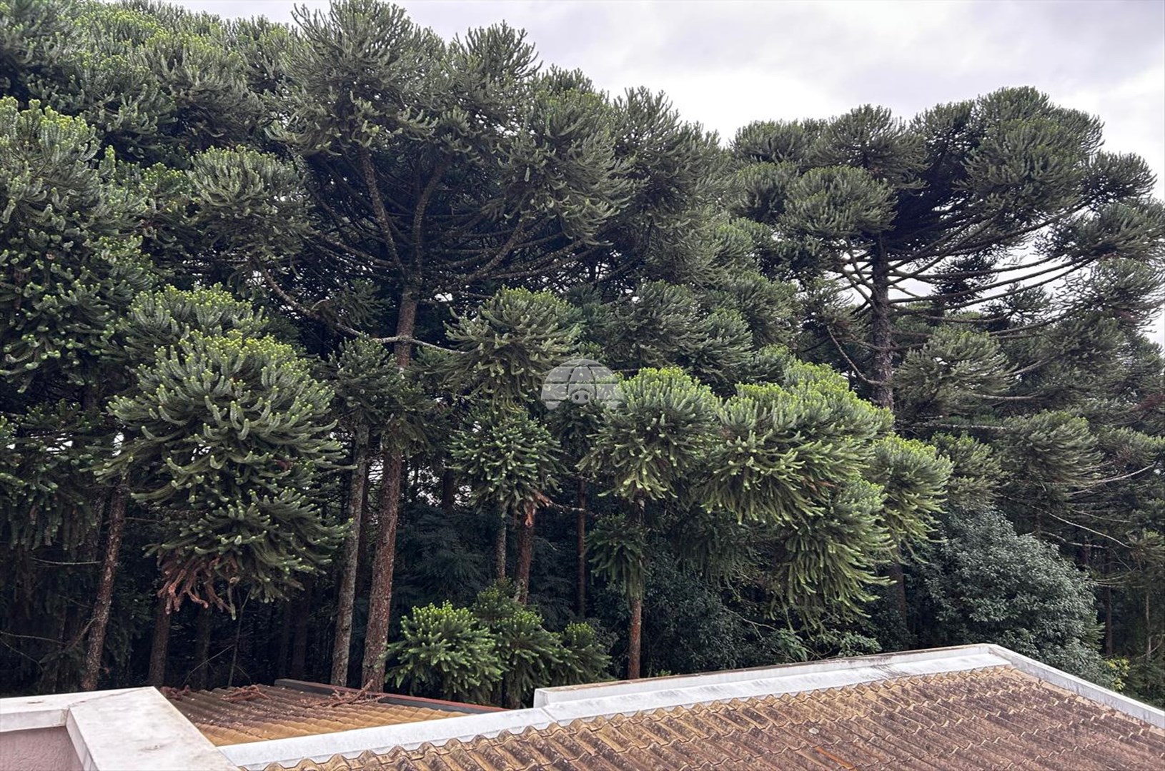 Casa à venda em Santa Cândida, Curitiba — Galvão Vendas - Imóveis a venda em Curitiba