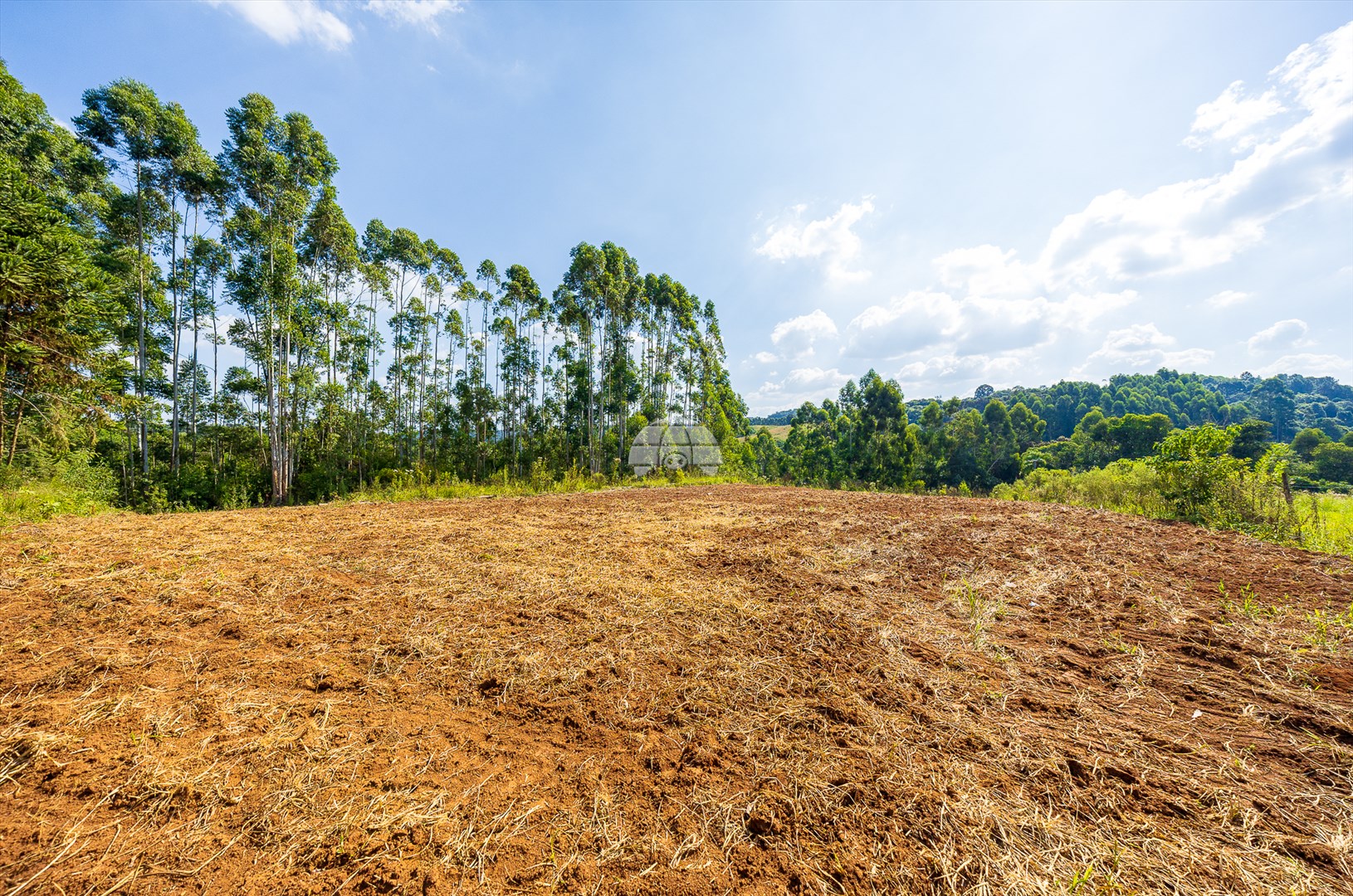 Terreno/Área à venda em Lacerda, Lapa — Portal Chave Fácil