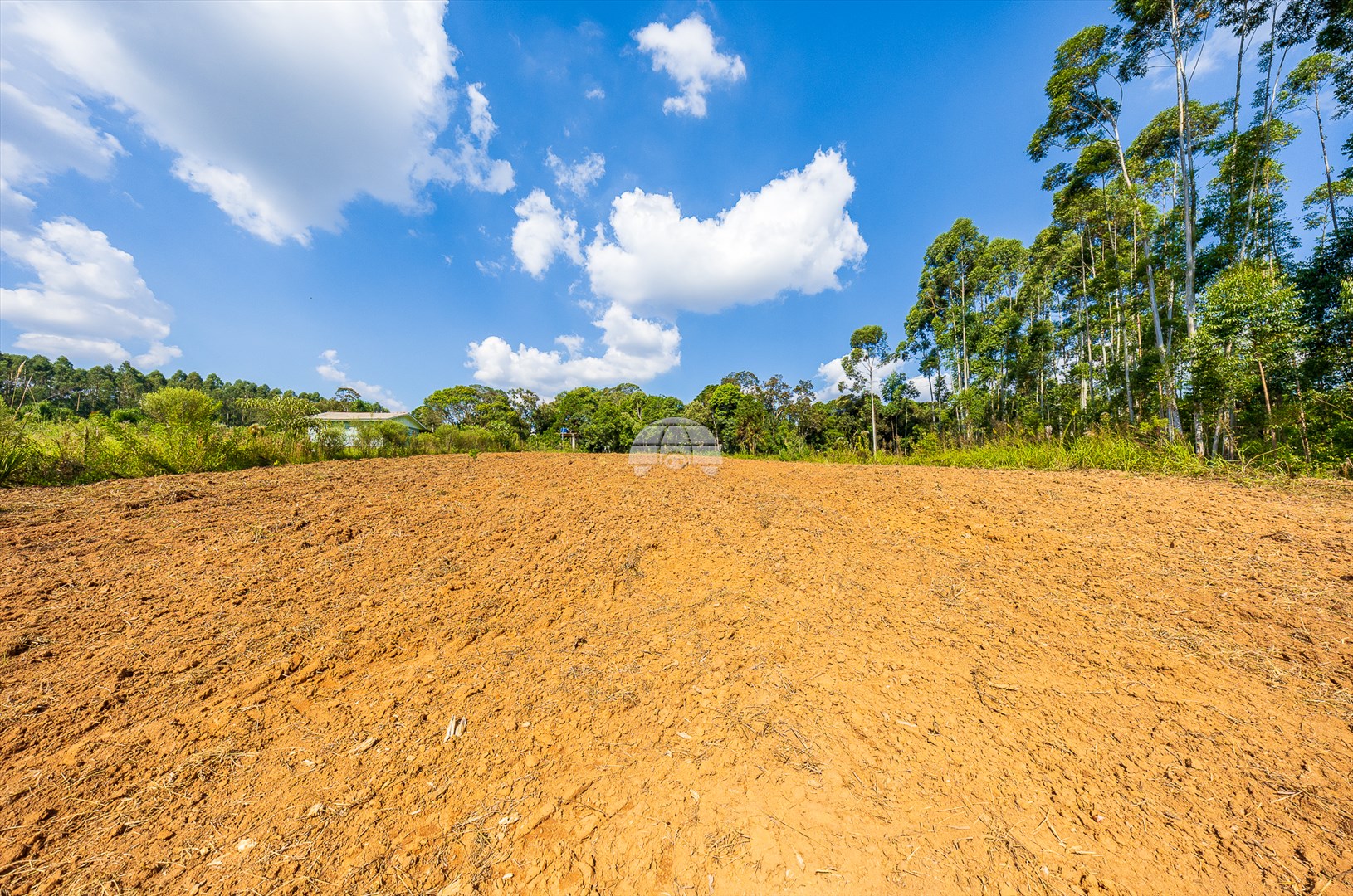 Terreno/Área à venda em Lacerda, Lapa — Portal Chave Fácil