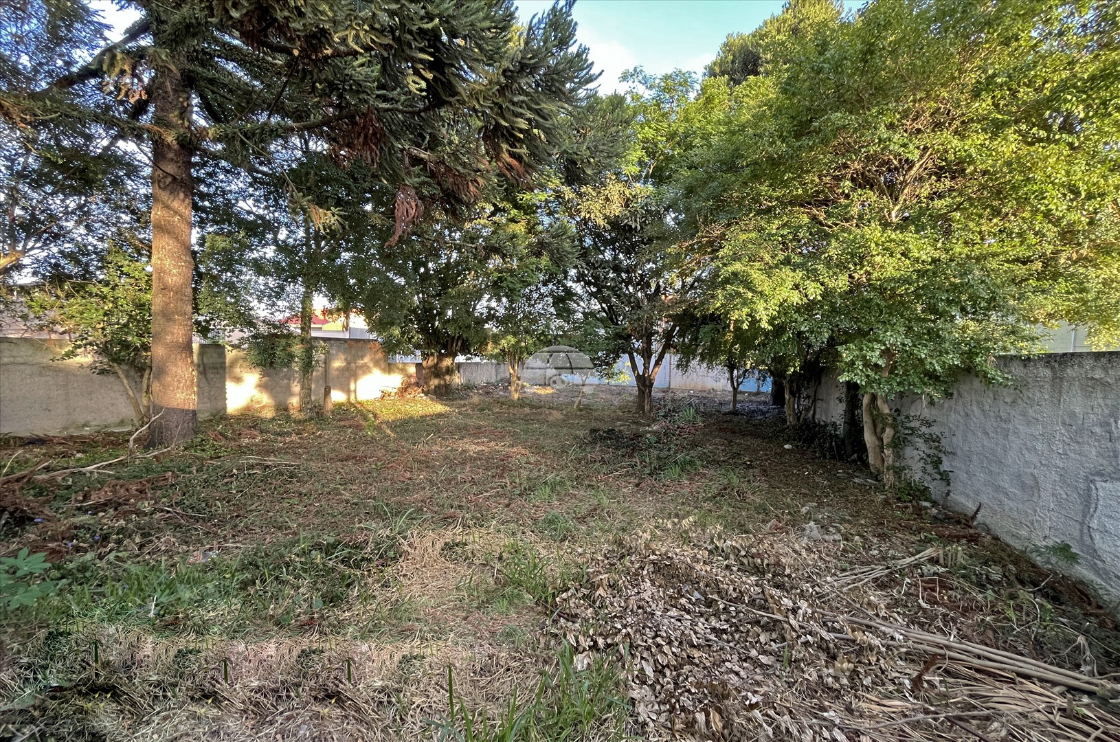 Terreno/Área para alugar em Fazendinha, Curitiba — Portal Chave Fácil
