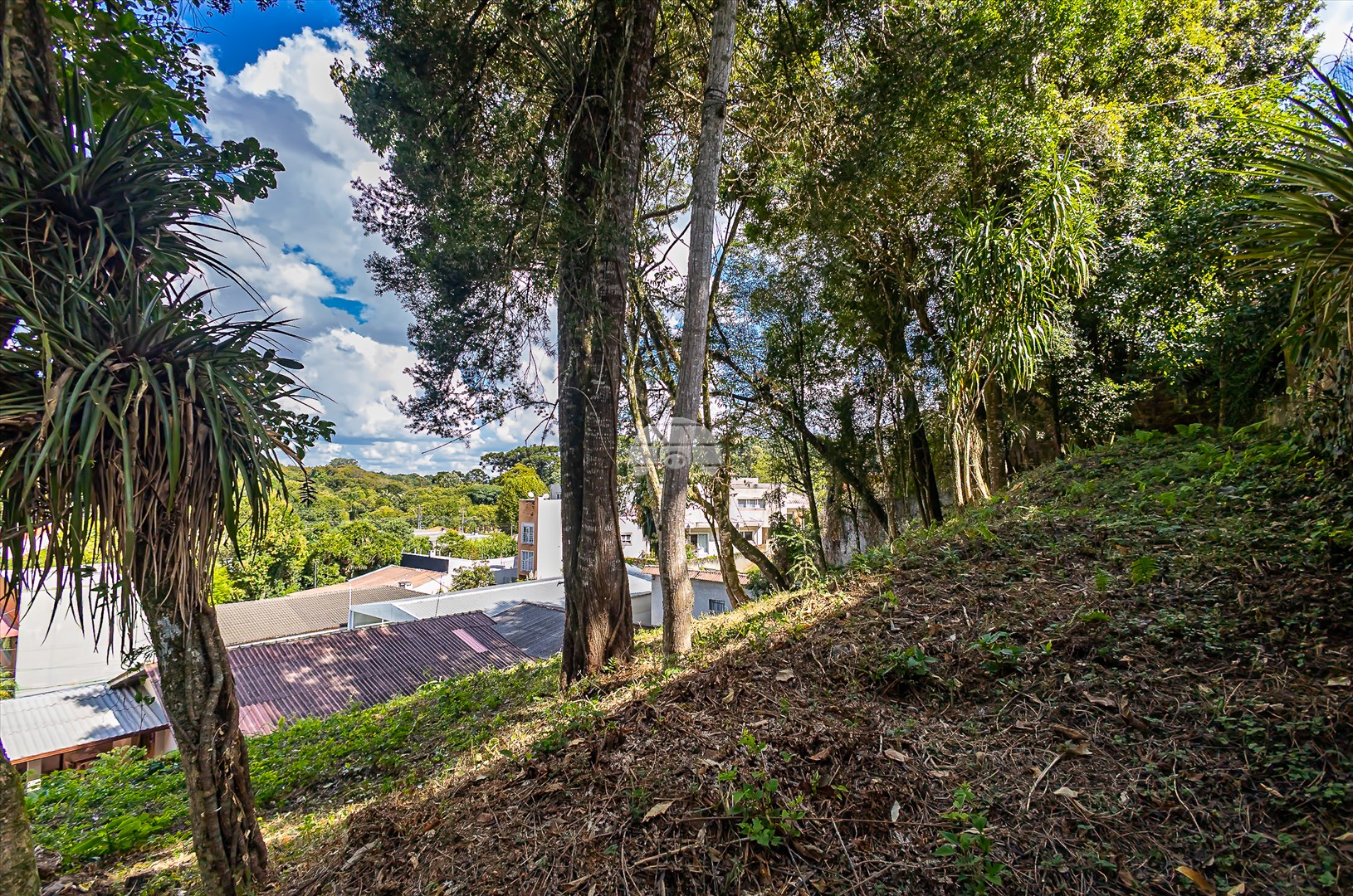 Terreno/Área à venda em Abranches, Curitiba — UNA