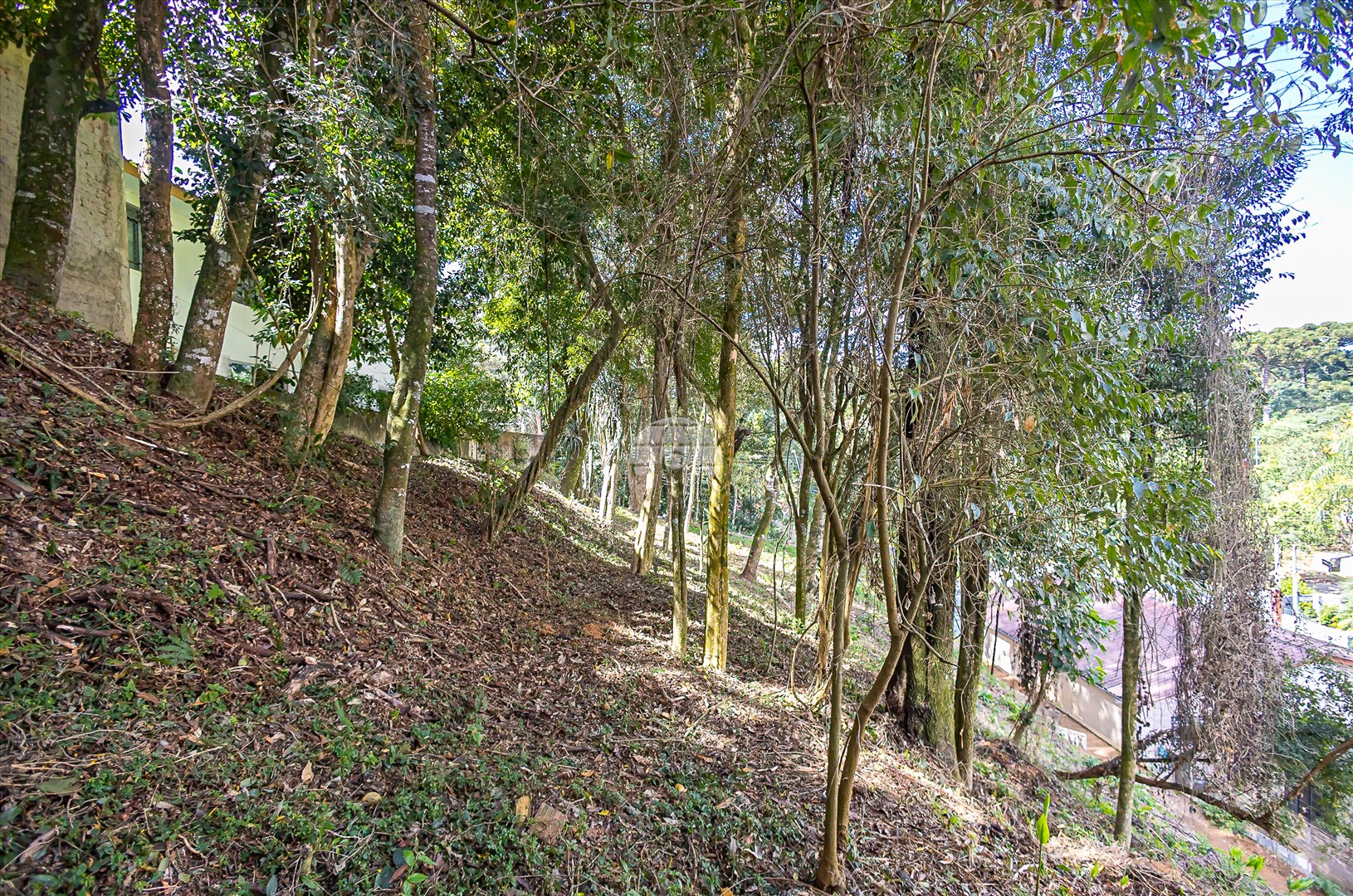 Terreno/Área à venda em Abranches, Curitiba — UNA