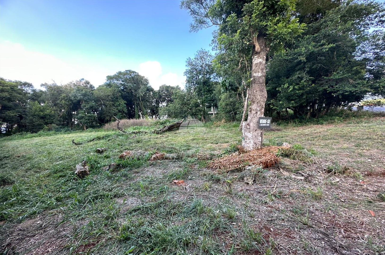 Terreno/Área à venda em Vila Isabel, Pato Branco — Portal Chave Fácil