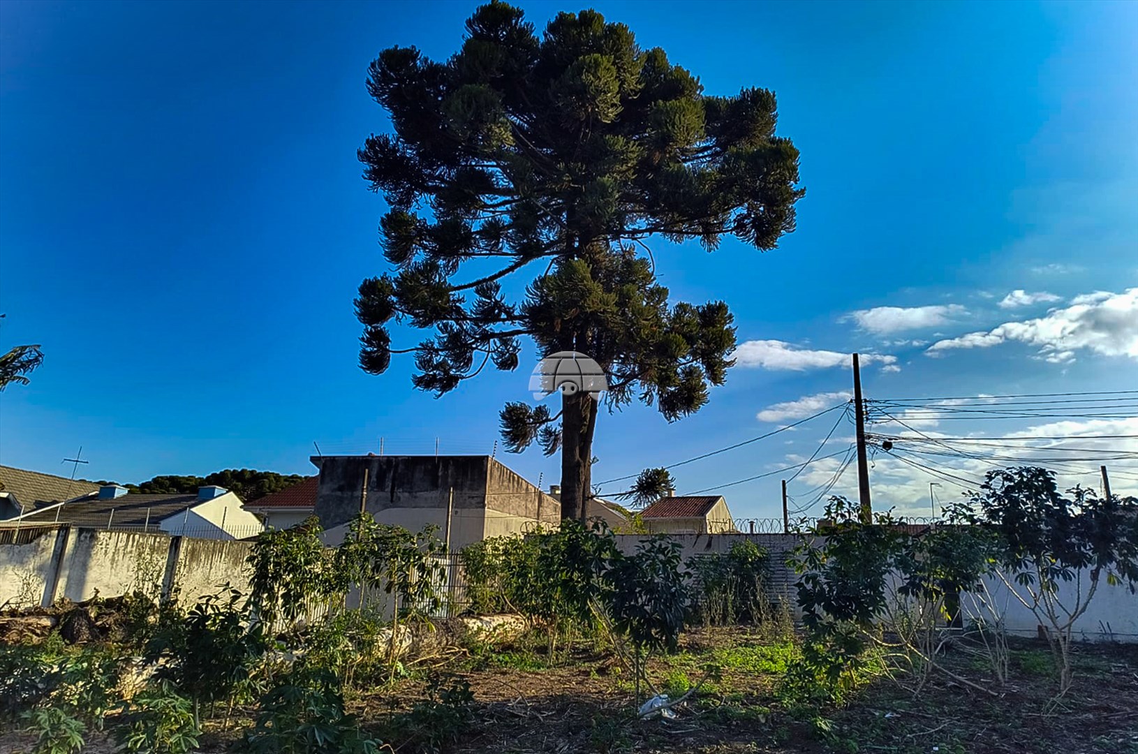 Terreno à venda em Uberaba, Curitiba — Construa Assessoria Imobiliária