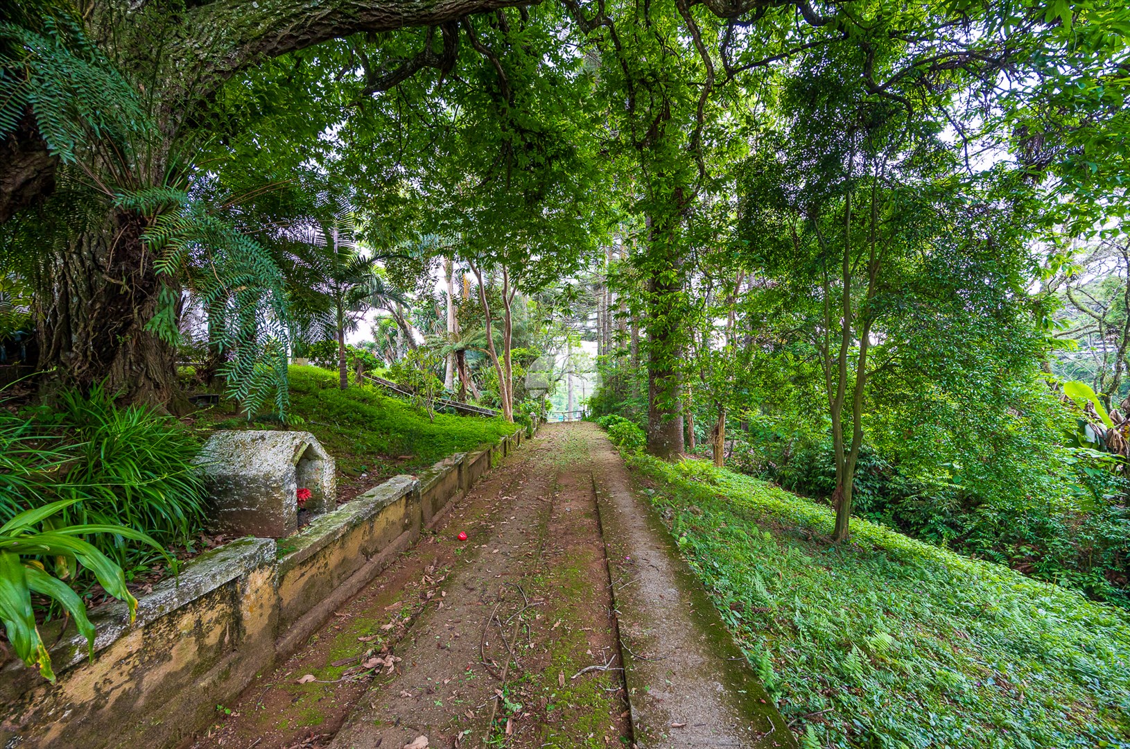 Terreno/Área à venda em Rondinha, Campo Largo — Kondor Imóveis: Imobiliária em Curitiba | Uma imobiliária pra você