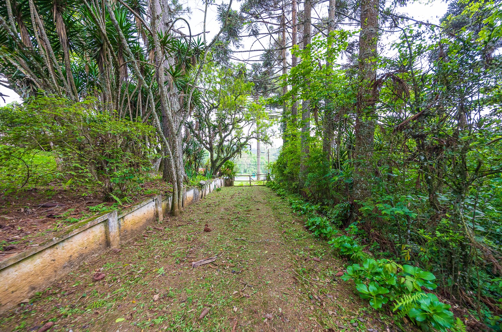 Terreno/Área à venda em Rondinha, Campo Largo — Kondor Imóveis: Imobiliária em Curitiba | Uma imobiliária pra você