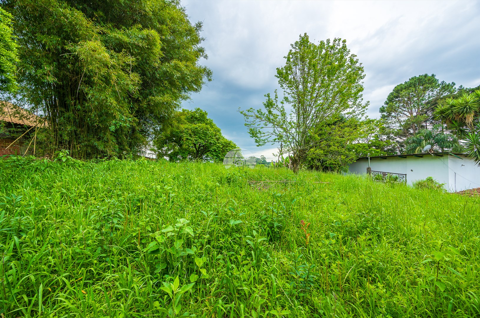 Terreno/Área à venda em Rondinha, Campo Largo — Kondor Imóveis: Imobiliária em Curitiba | Uma imobiliária pra você