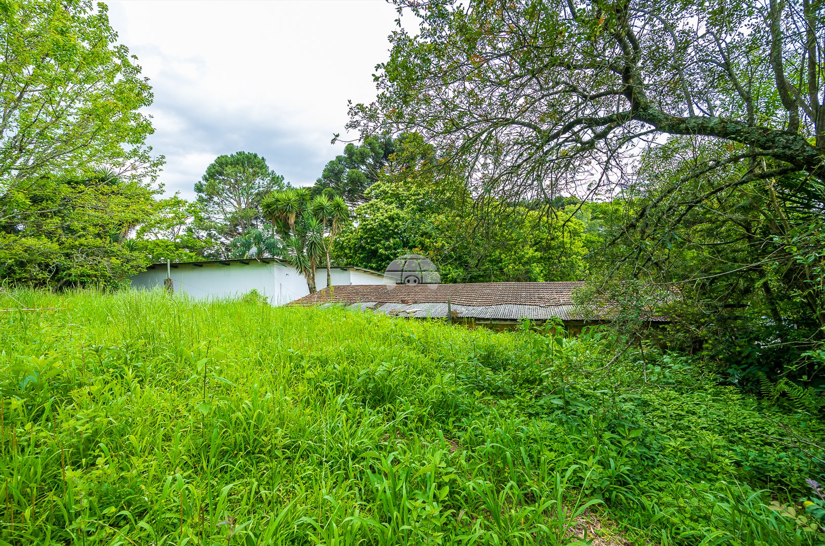 Terreno/Área à venda em Rondinha, Campo Largo — Kondor Imóveis: Imobiliária em Curitiba | Uma imobiliária pra você