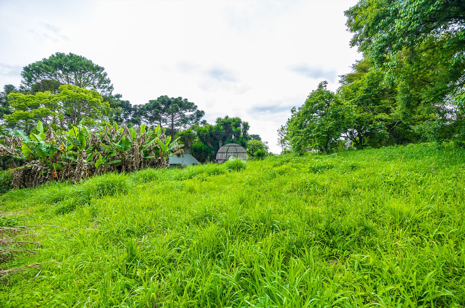 Terreno/Área à venda em Rondinha, Campo Largo — Kondor Imóveis: Imobiliária em Curitiba | Uma imobiliária pra você