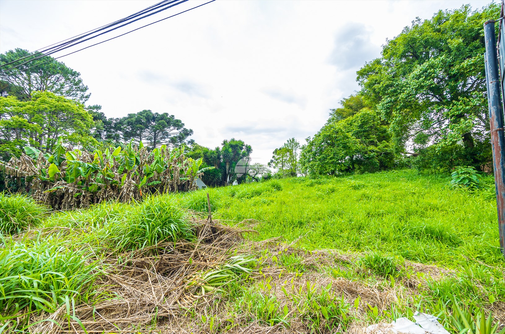 Terreno/Área à venda em Rondinha, Campo Largo — Kondor Imóveis: Imobiliária em Curitiba | Uma imobiliária pra você